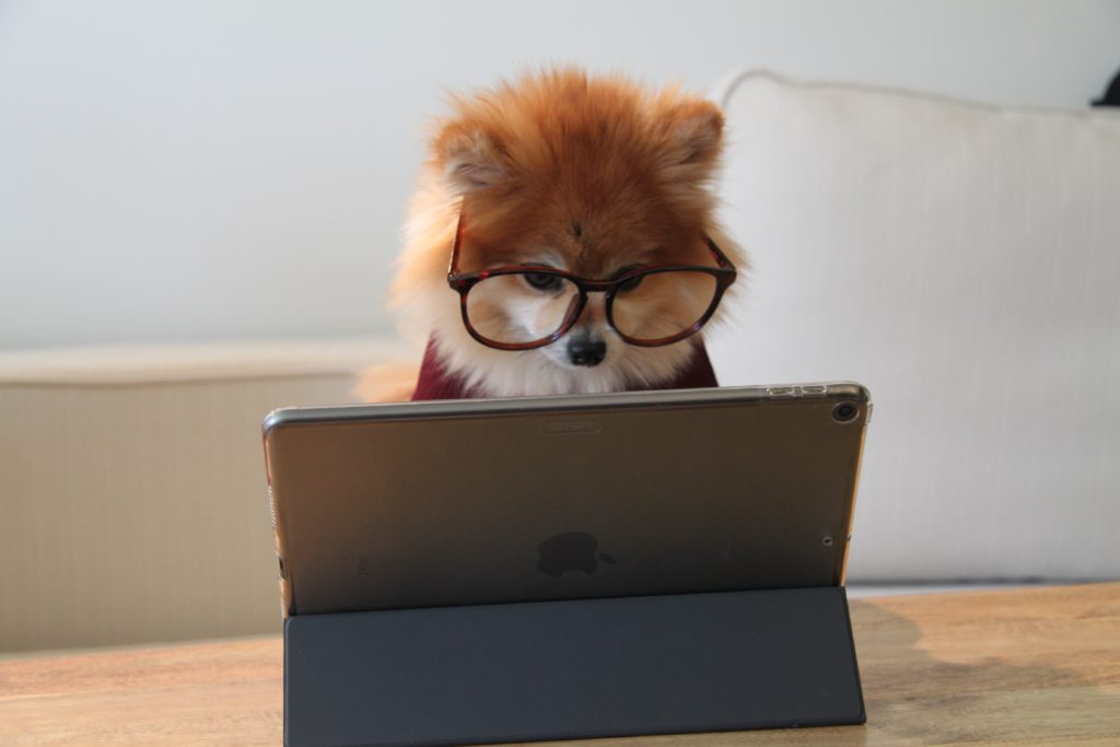 Mastering Professionalism
