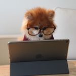 Mastering Professionalism